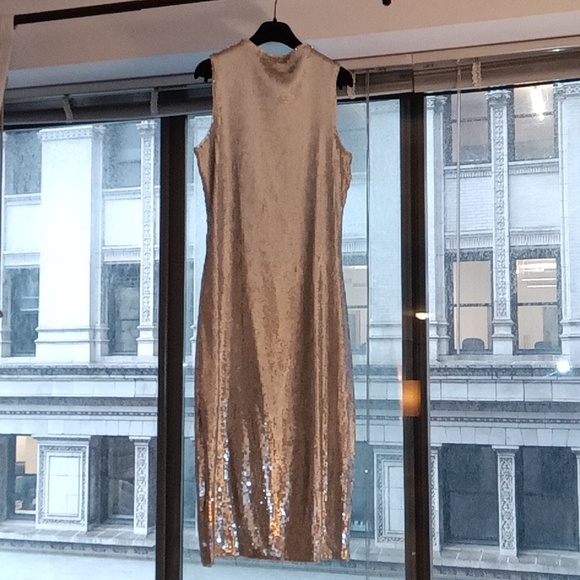 NWT Never Worn Sleeveless Silver Sequin Cocktail Cress! - Picture 1 of 15